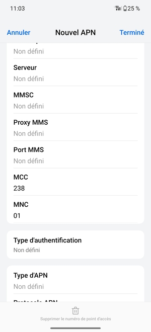 Faites défiler vers le bas et saisissez les informations MMS