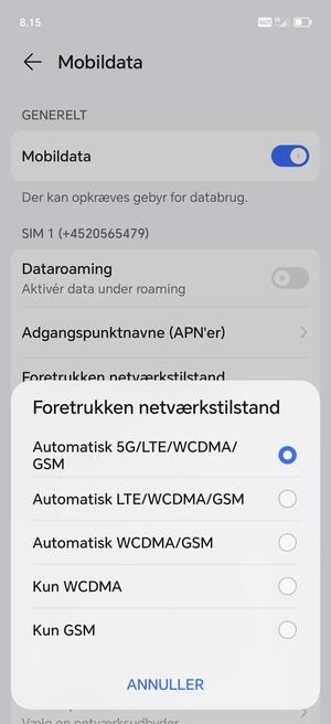 Vælg din foretrukne mulighed