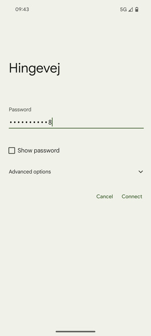 Enter the Wi-Fi password and select Connect