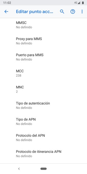 Desplácese hacia abajo e introduzca la información de Internet
