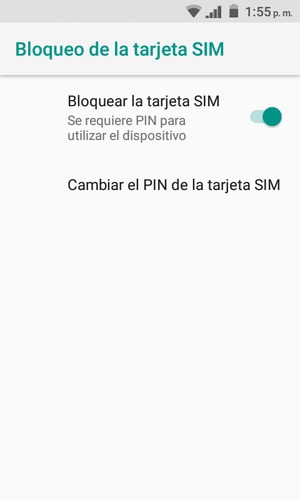 Seleccione Cambiar el PIN de la tarjeta SIM