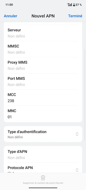 Faites défiler vers le bas et saisissez les informations Internet