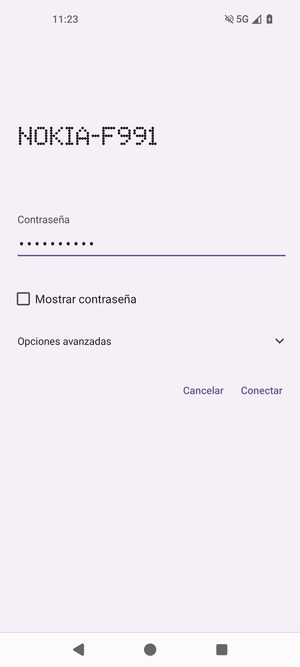 Introduzca la Contraseña de Wi-Fi y seleccione Conectar