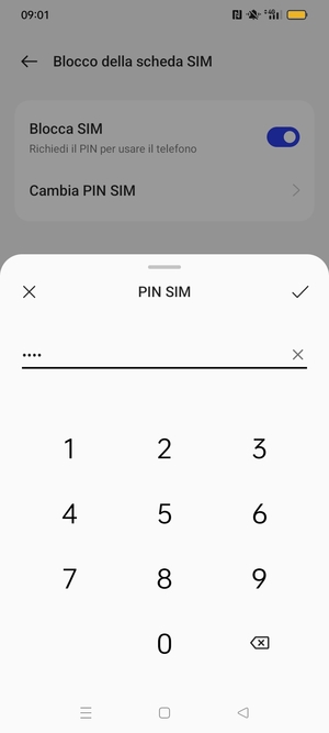 Inserisci PIN attuale per questa scheda SIM e seleziona OK