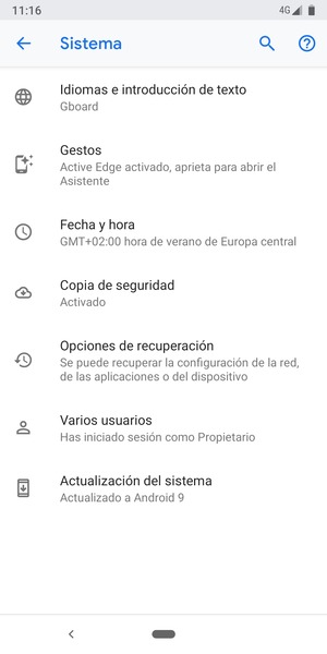 Seleccione Actualización del sistema