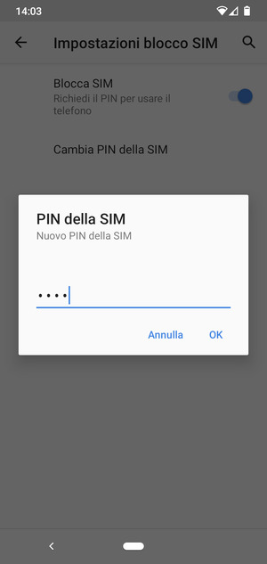 Inserisci Nuovo PIN della SIM e seleziona OK