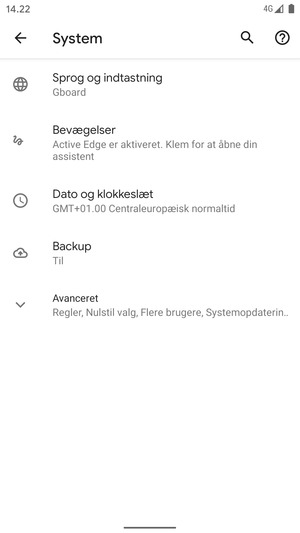 Vælg Avanceret