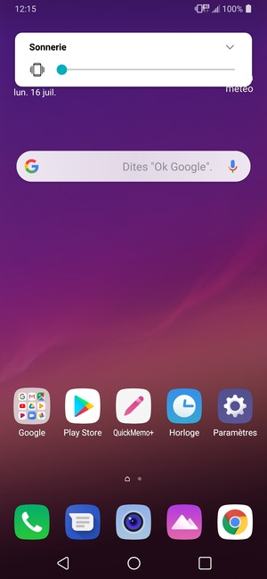 Maintenir appuyé pour passer en mode vibreur, qui est approuvé par une courte vibration