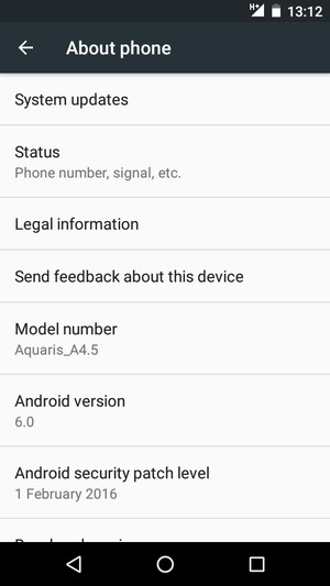 Select System updates