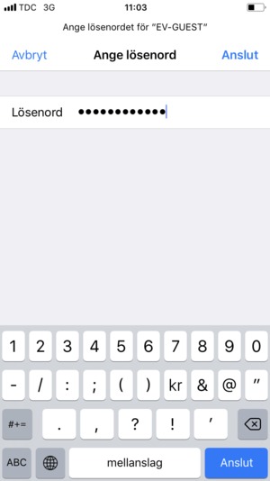 Ange lösenord till Wi-Fi och välj Anslut
