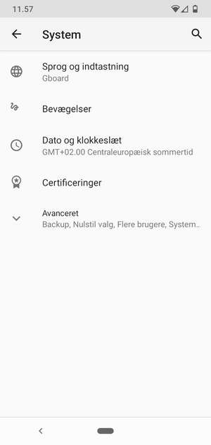 Vælg Avanceret