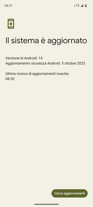 Se il tuo telefono è aggiornato, vedrai la seguente schermata