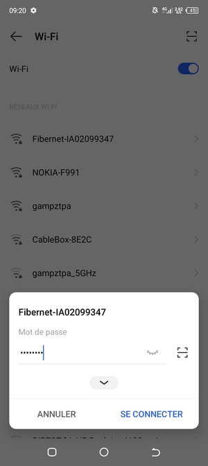 Saisissez le mot de passe du Wi-Fi et sélectionnez SE CONNECTER