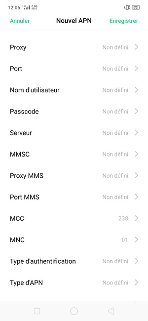 Faites défiler vers le bas et saisissez les informations Internet