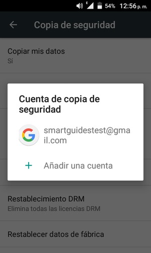 Seleccione su cuenta de copia de seguridad