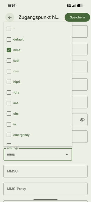 Aktivieren Sie das Kontrollkästchen mms