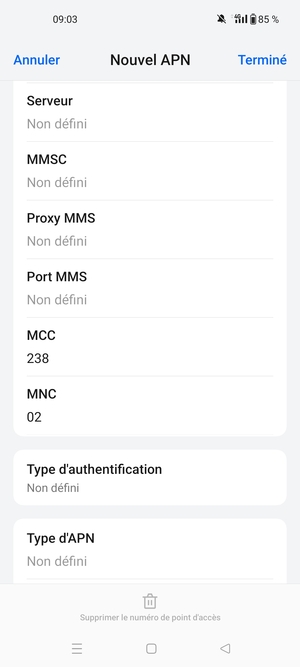 Faites défiler vers le bas et saisissez les informations Internet