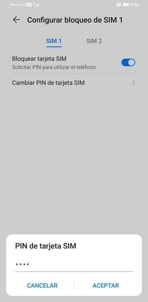 Introduzca su Antiguo PIN de tarjeta SIM y seleccione ACEPTAR