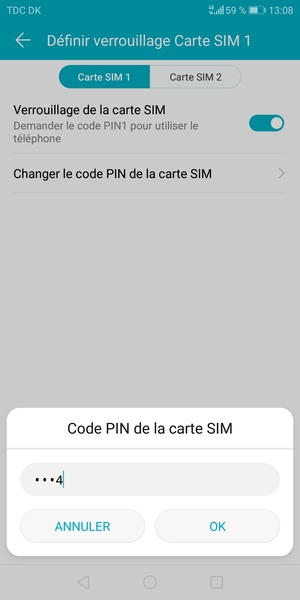 Saisissez votre Ancien code PIN de la carte SIM et sélectionnez OK