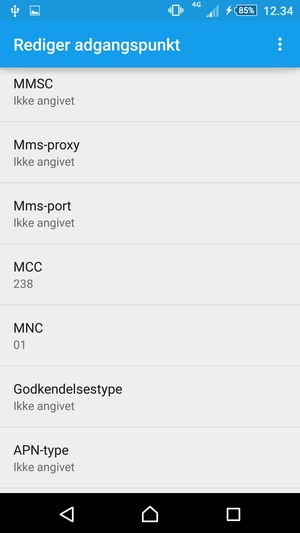 Scroll ned og indtast internet-oplysninger