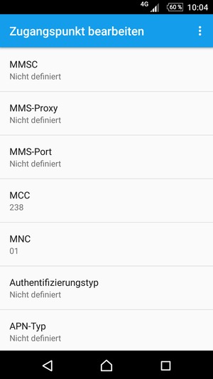Scrollen Sie nach unten und geben Sie Ihre Internetinformationen ein