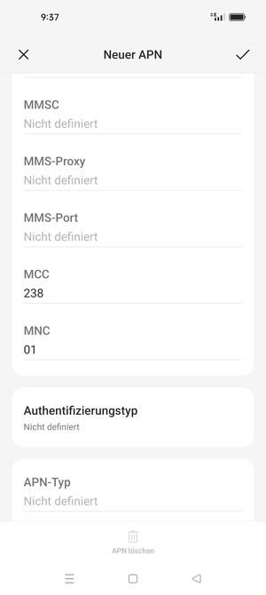 Scrollen Sie nach unten und geben Sie Internetinformationen ein