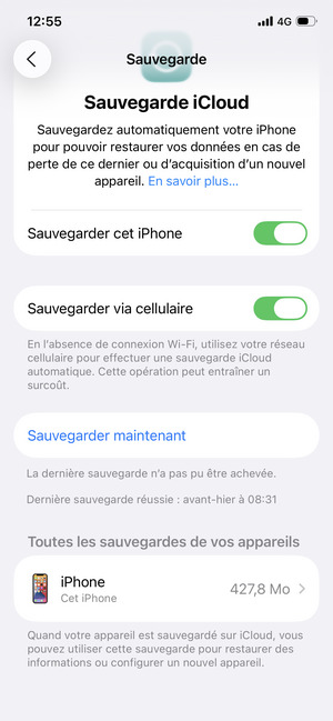 Sélectionnez Sauvegarder maintenant