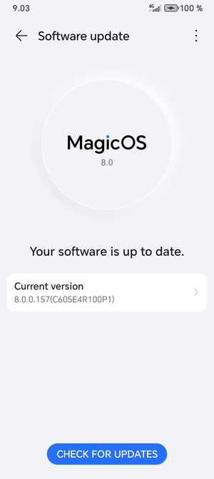If your phone is up to date, you will see the following screen