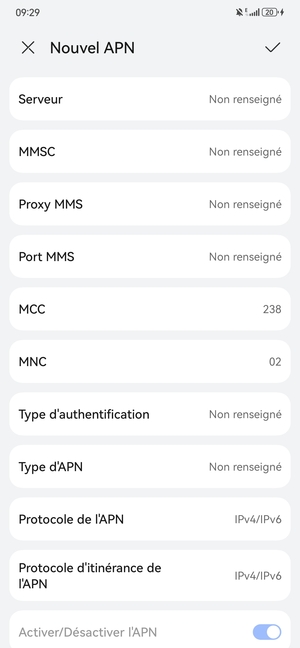 Faites défiler vers le bas et saisissez les informations Internet