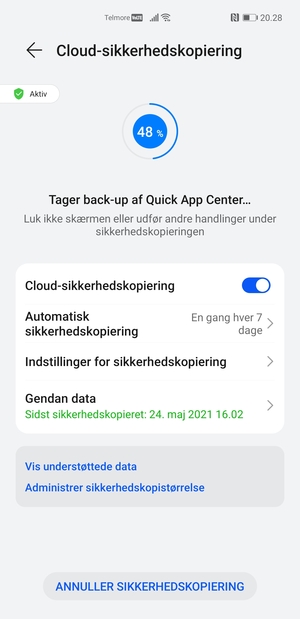 Afvent at sikkerhedskopieringen er afsluttet