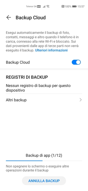 Attendi il completamento del backup