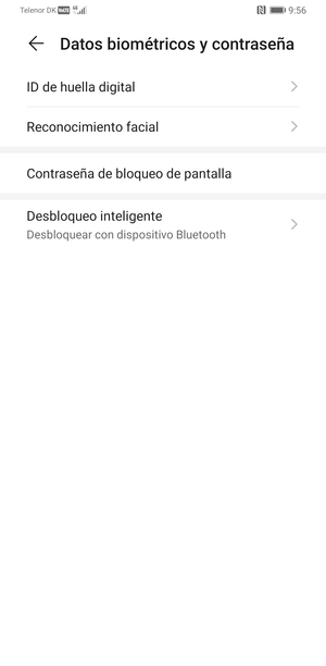 Seleccione Contraseña de bloqueo de pantalla