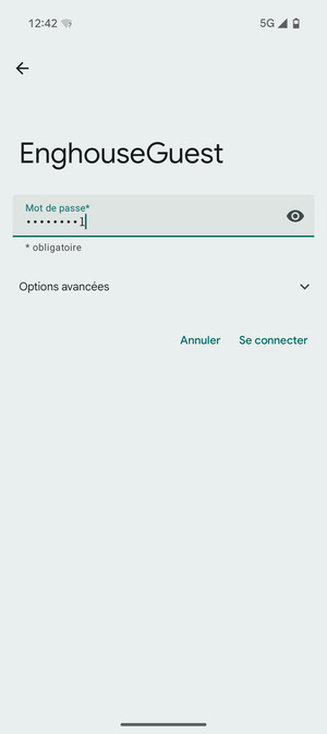 Saisissez le mot de passe du Wi-Fi et sélectionnez Se connecter