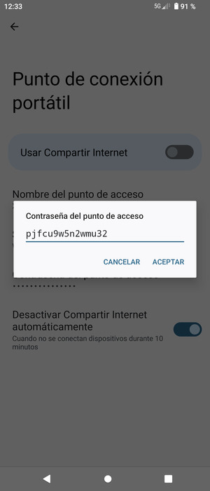 Introduzca una contraseña de punto de acceso Wi-Fi de al menos 8 caracteres y seleccione ACEPTAR