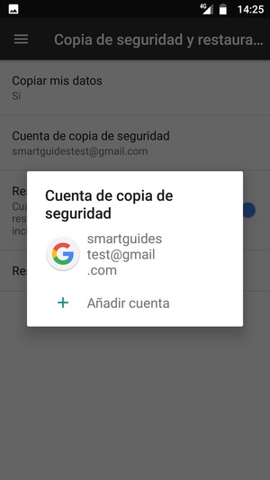 Seleccione su cuenta de copia de seguridad