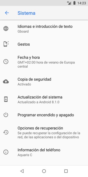Seleccione Actualización del sistema