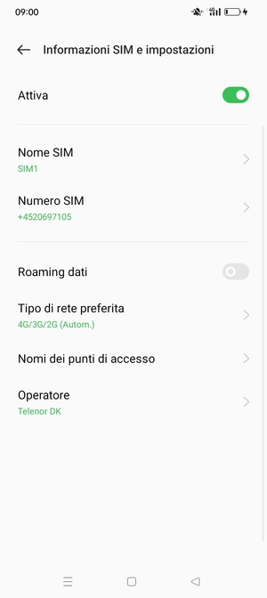 Seleziona Tipo di rete preferita