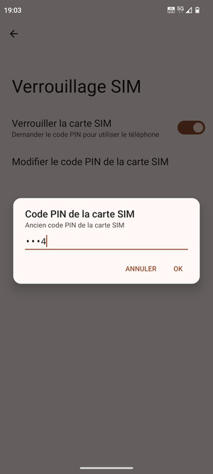 Saisissez Ancien code PIN de la carte SIM et sélectionnez OK