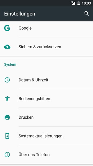 Scrollen Sie und wählen Sie Systemaktualisierungen
