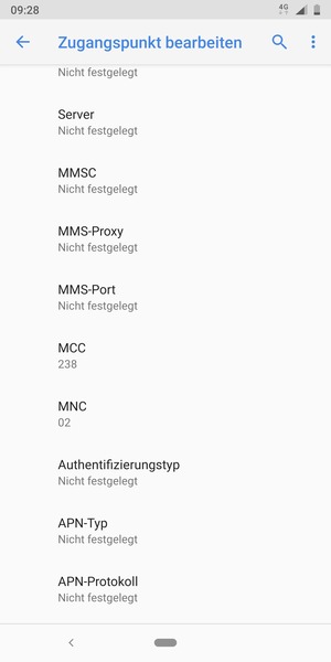 Scrollen Sie nach unten und geben Sie Internetinformationen ein