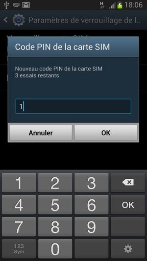 Saisissez votre Nouveau code PIN de la carte SIM et sélectionnez OK
