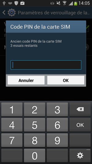 Saisissez votre Ancien code PIN de la carte SIM et sélectionnez OK