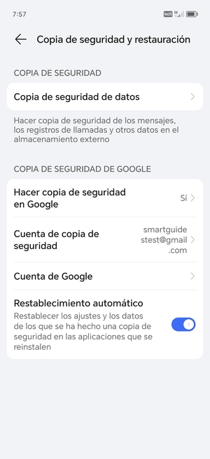 Seleccione Cuenta de copia de seguridad