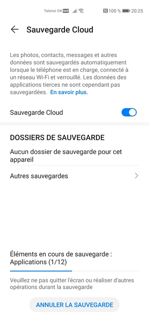 Veuillez attendre la fin de la sauvegarde
