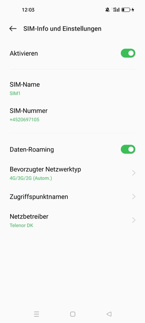 Schalten Sie Daten-Roaming an oder aus