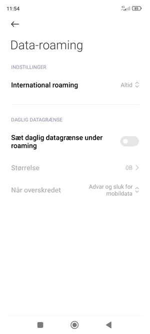 Vælg International roaming