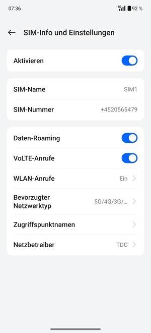 Schalten Sie Daten-Roaming an oder aus