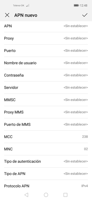 Desplácese hacia abajo e introduzca la información de Internet