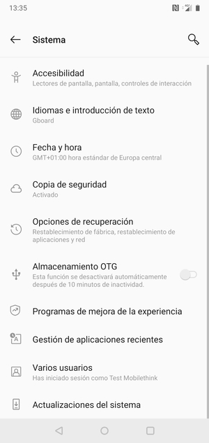 Seleccione Actualizaciones del sistema