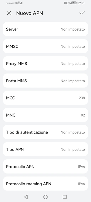 Scorri verso il basso e inserisci le informazioni di internet
